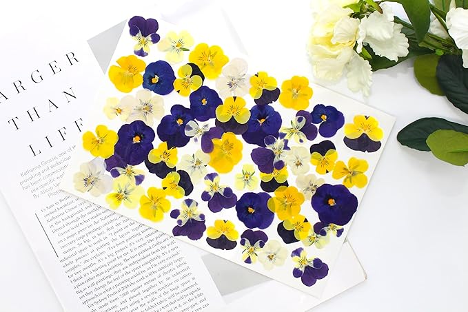 48 Pcs Mixed Pansy Dried Pressed Flowers for Crafts,Real Nature Dry Flower Bulk for Resin Jewelry Making Candle Making Frame Decoration Art Floral Decors
