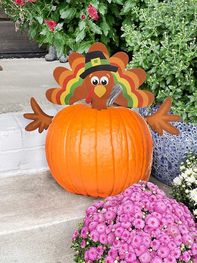 Decorae Halloween Pumpkin Decorating Kit (Turkey Set), 4 Reusable Metal Accessories for Fall Pumpkin Face Decorating with Turkey Body Parts