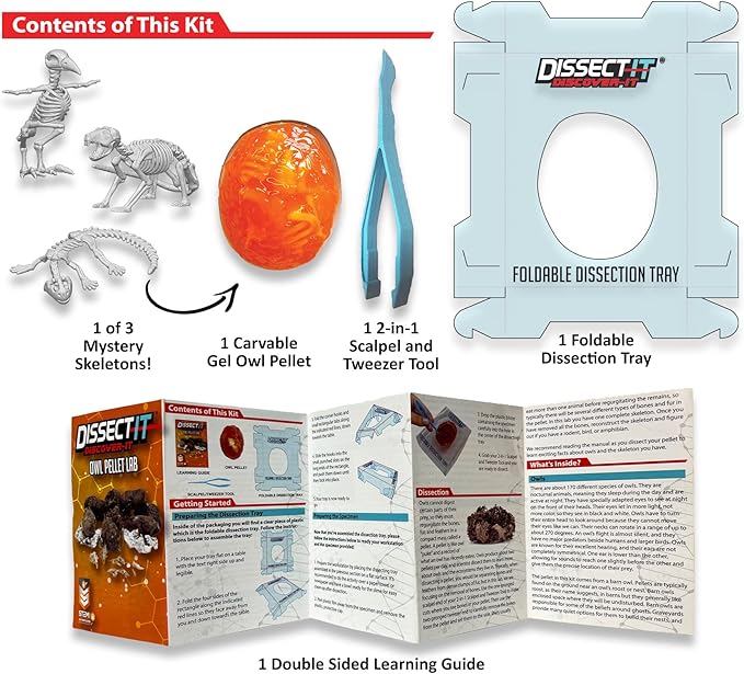 Dissect-It Discover-It Simulated Synthetic Lab Dissection STEM Toy, Complete Set of 4 Kits, Kidsโ Home Learning Science Projects, Great for Young Scientists!