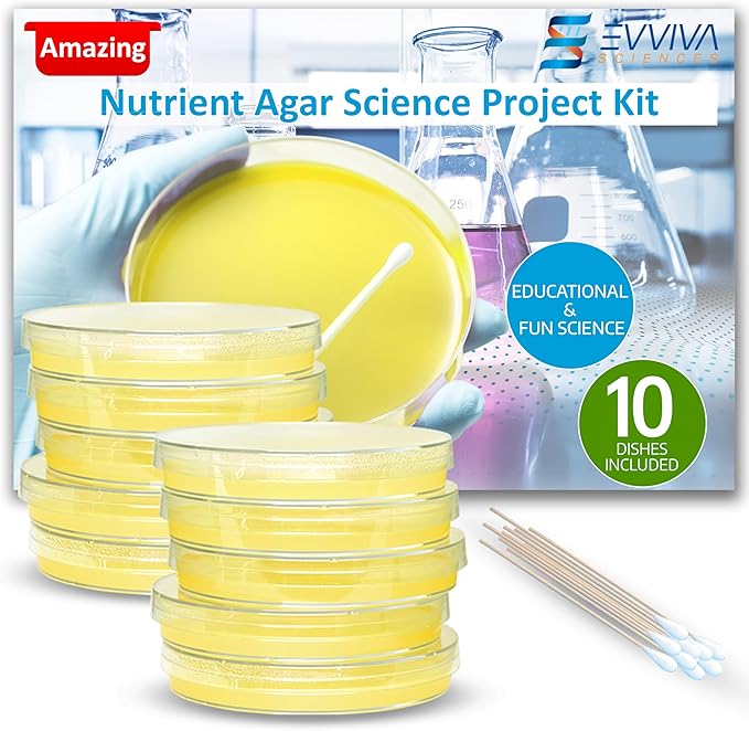 Evviva Sciences Nutrient Agar Petri Dishes Science Project Kit, Pre-Poured Agar Plates for Science Experiments, with Experiment eBook (Yellow)