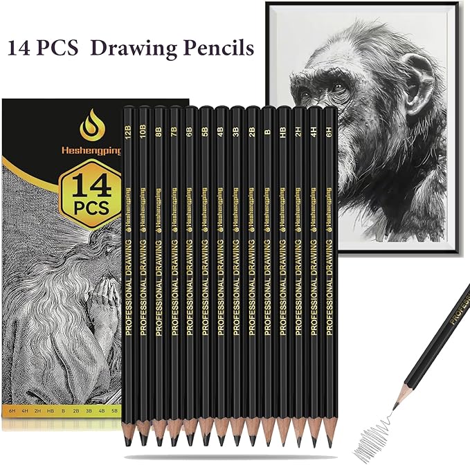 Sketch Pencils Set for Drawing, 14 Pack Graphite, for Art, Pencil kit for Sketching, Shading, Artist Pencils for Beginners Pro Artists
