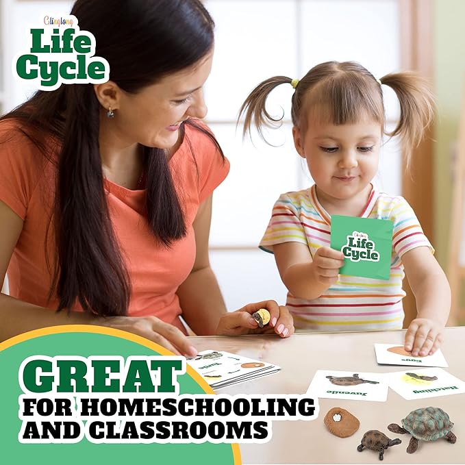 Life Cycle Animal Kit - Montessori Science Toy with 24-Piece Matching Game, Includes Butterfly, Frog, Chicken, Bee, Ladybug & Turtle STEM Educational Gift for Kids Ages 3 4 5 6 7 8