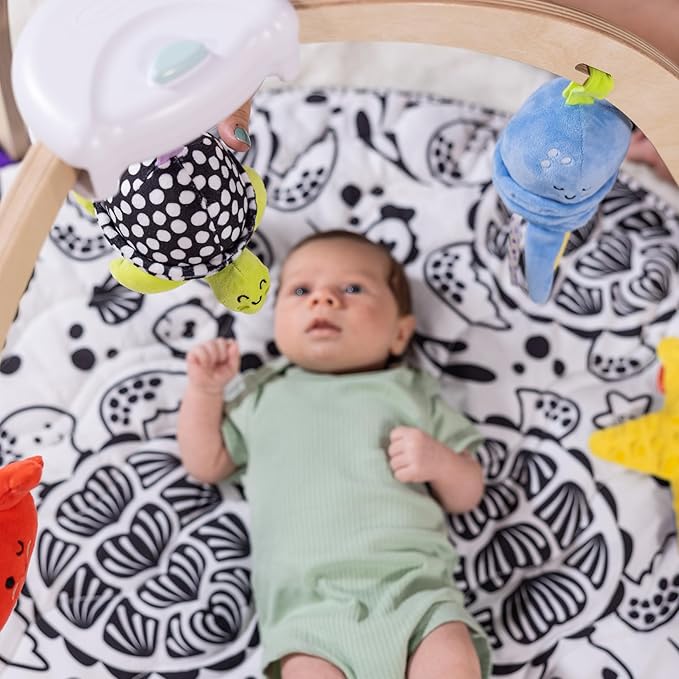 Melissa & Doug Ocean Wooden Baby Play Gym, Easy-Fold Baby Activity Center, 5 Washable Sensory Toys & Reversible Play Mat, Infant Toys, Ages 0–9 Months - FSC Certified
