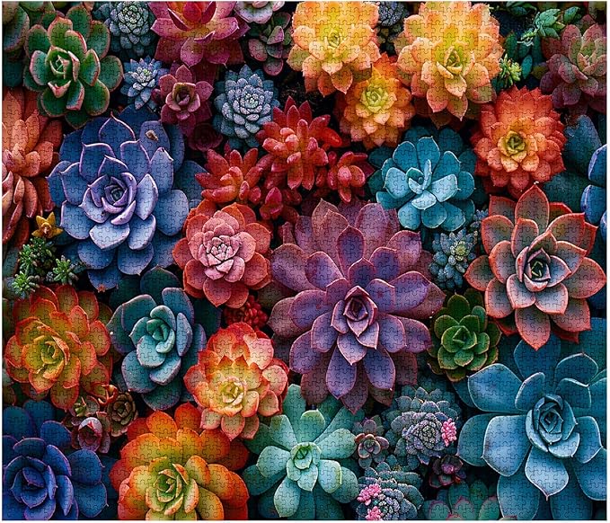 Tucocoo 1000 Piece Jigsaw Puzzles for Adults Colorful Succulent Plants Painting Puzzle Vibrant Florals Art 1000 Pieces Puzzles for Challenging Family Activity Game DIY Puzzle Wall Decor Gifts