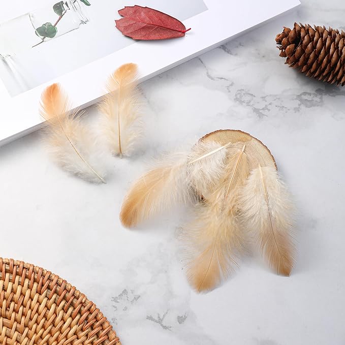 Soarer Natural Craft Feathers Bulk - 300pcs 3-5inch Natural Feathers for Dream Catcher Supplies, Home Party, Hats and Jewelry Accessories and DIY Crafts