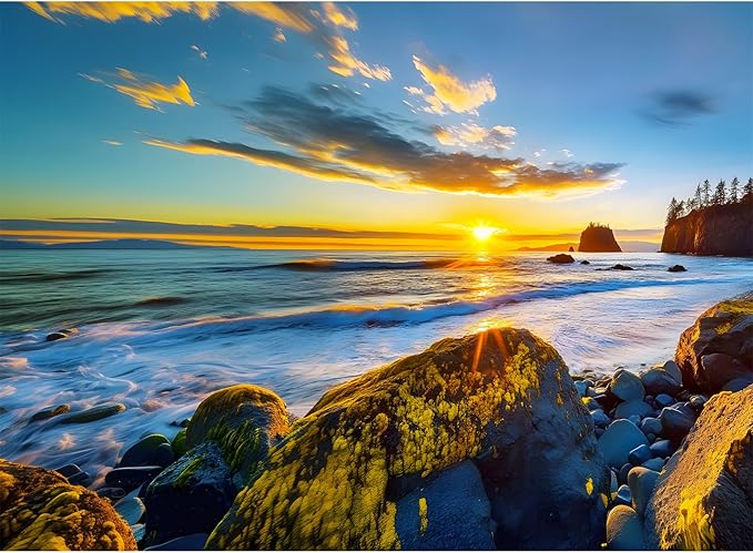 500 Pieces Puzzle for Adults - Olympic National Park Jigsaw Puzzle for Adults Kids Teens,Recycled Cardboard Sunset Beach Puzzle 500 Pieces,Challenging Game for Family Fun & Gift Idea,20.5 x 15 in