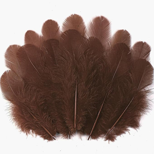 Soarer 300pcs Brown Feathers for Crafts - 3-5inch Craft Feathers Bulk for Wedding Home Party, Dream Catcher Supplies and DIY Crafts(Brown)