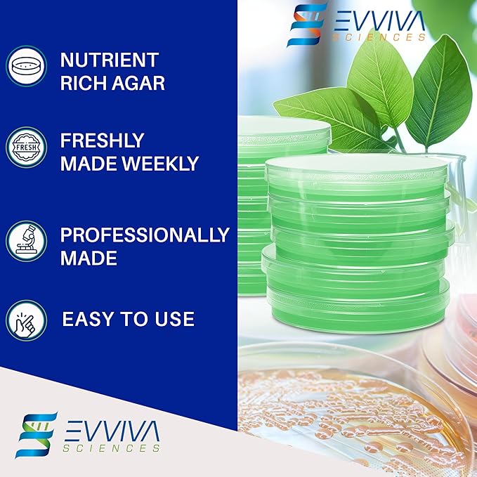 Evviva Sciences Nutrient Agar Petri Dishes Science Project Kit, Pre-Poured Agar Plates for Science Experiments, with Experiment eBook (Green)