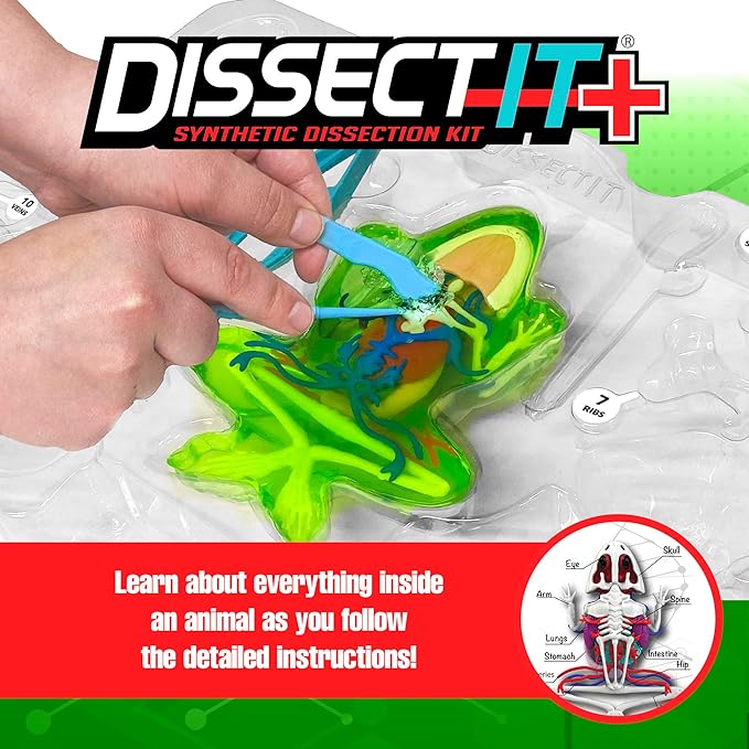 Dissect-It Kit for Kids, Simulated Synthetic Lab Dissection Toy, Frog Super Lab STEM Toys for Animal Science, Biology, and Anatomy