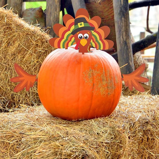 Decorae Halloween Pumpkin Decorating Kit (Turkey Set), 4 Reusable Metal Accessories for Fall Pumpkin Face Decorating with Turkey Body Parts