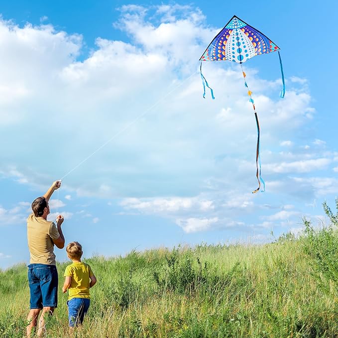 HONBO Large Delta Kite for Kids & Adults,Extremely Easy to Fly Kite for Beach Trip,String Line Included,with Colorful Tail,Perfect for Beginners