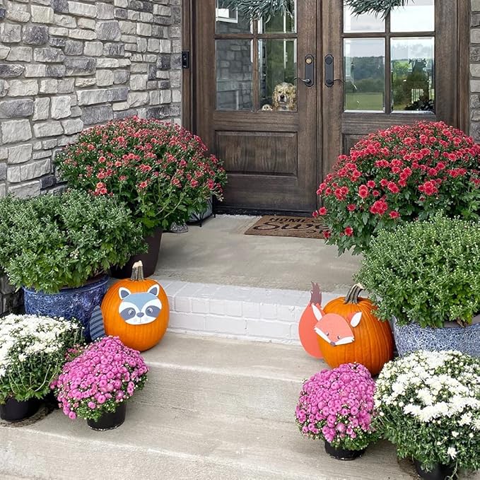 Decorae Halloween Pumpkin Decorating Kit (Woodland Friends Set), 8 Reusable Metal Accessories for Pumpkin Decorating with Fox and Raccoon Body Parts
