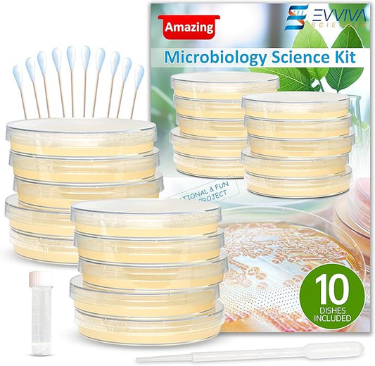 Evviva Sciences Microbiology Science Project Kit, Pre-Poured Agar Plates for Students, Agar Petri Dishes to Learn Microbiology, with Educational Experiment eBook