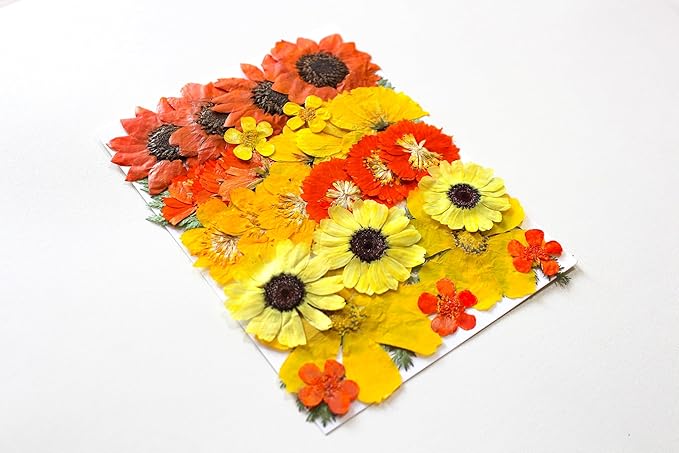 Large Fall Autumn Dried Pressed Flower for Resin, Big Real Nature Pressing Floral Leaves for DIY Craft, Mold, Jewelry Making, Candle Scrapbooking Supplies
