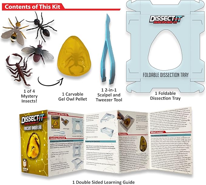 Dissect-It Discover-It Simulated Synthetic Lab Dissection STEM Toy, Complete Set of 4 Kits, Kidsโ Home Learning Science Projects, Great for Young Scientists!