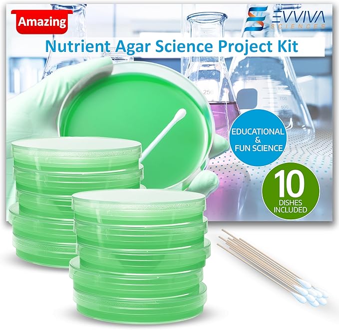 Evviva Sciences Nutrient Agar Petri Dishes Science Project Kit, Pre-Poured Agar Plates for Science Experiments, with Experiment eBook (Green)