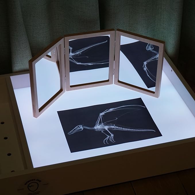 Animal X-Ray Set, Educational Science Kit, Light Table Accessory for Children (Dinosaurs)