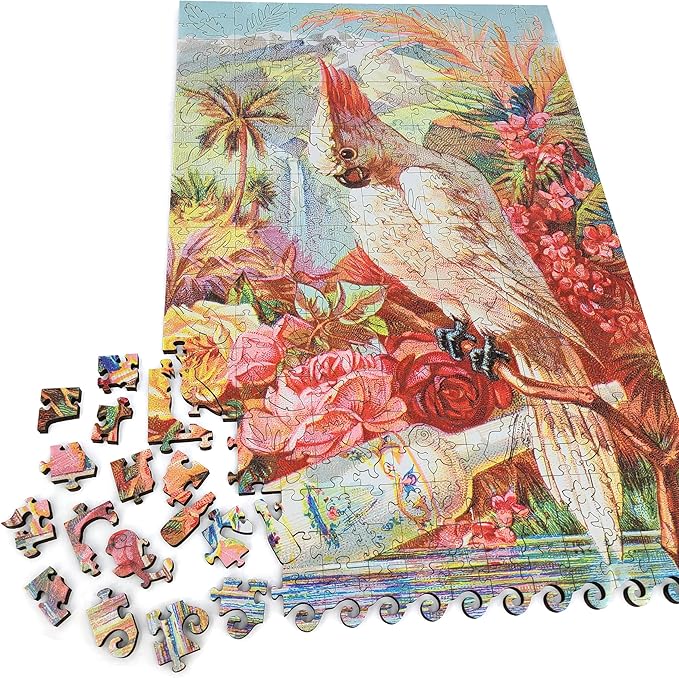 Wooden Jigsаw Puzzle for Adults - Uniquely Shaped Pieces - Made in The USA by FoxSmartBox - 305 Pieces - Florida Water