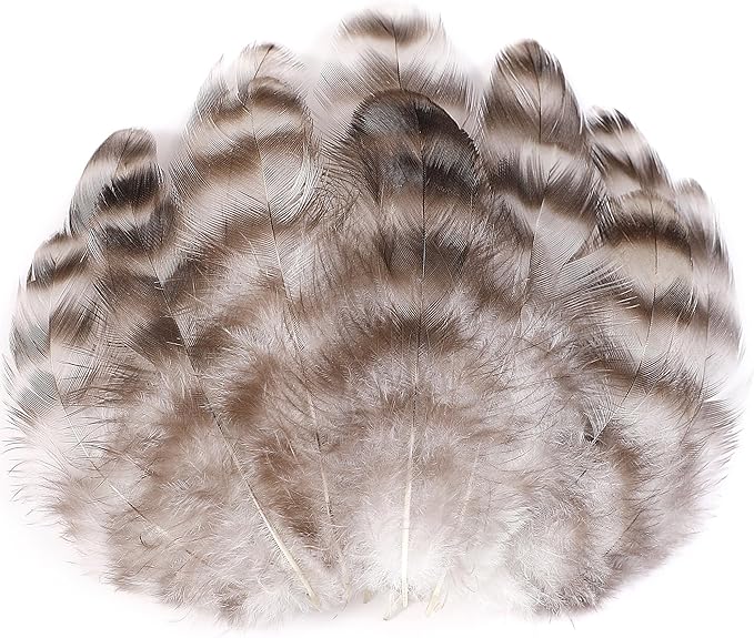 Soarer Natural Chinchilla Coque Feathers - 300pcs 3-5inch Craft Feathers for Dream Catcher Supplies, Home Party, Hats and Jewelry Accessories and DIY Crafts(Chinchilla)