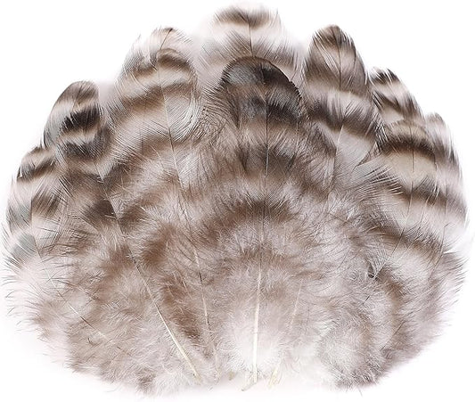Soarer Natural Chinchilla Coque Feathers - 300pcs 3-5inch Craft Feathers for Dream Catcher Supplies, Home Party, Hats and Jewelry Accessories and DIY Crafts(Chinchilla)