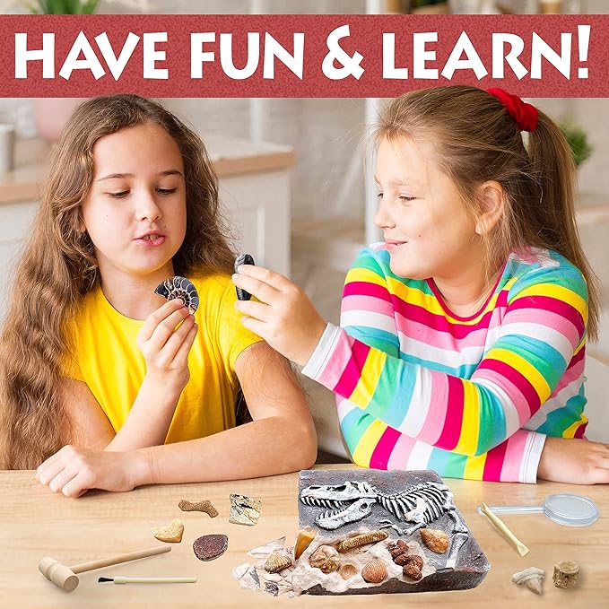 DANCING BEAR Fossil Dig Kit, Excavate 15 Prehistoric Fossils Including Real Dinosaur Bones and Shark Teeth, Paleontology STEM Education for Kids, Fun Science Activity Gift Sets for Girls and Boys