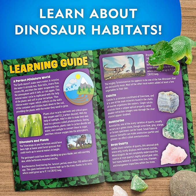 National Geographic Dinosaur Terrarium Kit for Kids – Multicolor Light-Up Terrarium, Build a Dino Habitat with Real Plants & More, Science Kit, Dinosaur Toys for Kids