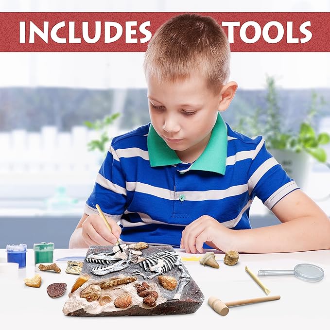 DANCING BEAR Fossil Dig Kit, Excavate 15 Prehistoric Fossils Including Real Dinosaur Bones and Shark Teeth, Paleontology STEM Education for Kids, Fun Science Activity Gift Sets for Girls and Boys