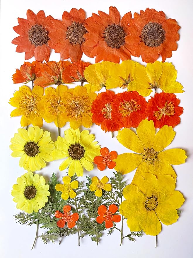 Large Fall Autumn Dried Pressed Flower for Resin, Big Real Nature Pressing Floral Leaves for DIY Craft, Mold, Jewelry Making, Candle Scrapbooking Supplies