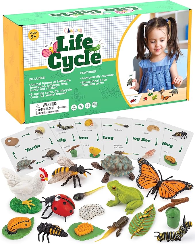 Life Cycle Animal Kit - Montessori Science Toy with 24-Piece Matching Game, Includes Butterfly, Frog, Chicken, Bee, Ladybug & Turtle STEM Educational Gift for Kids Ages 3 4 5 6 7 8