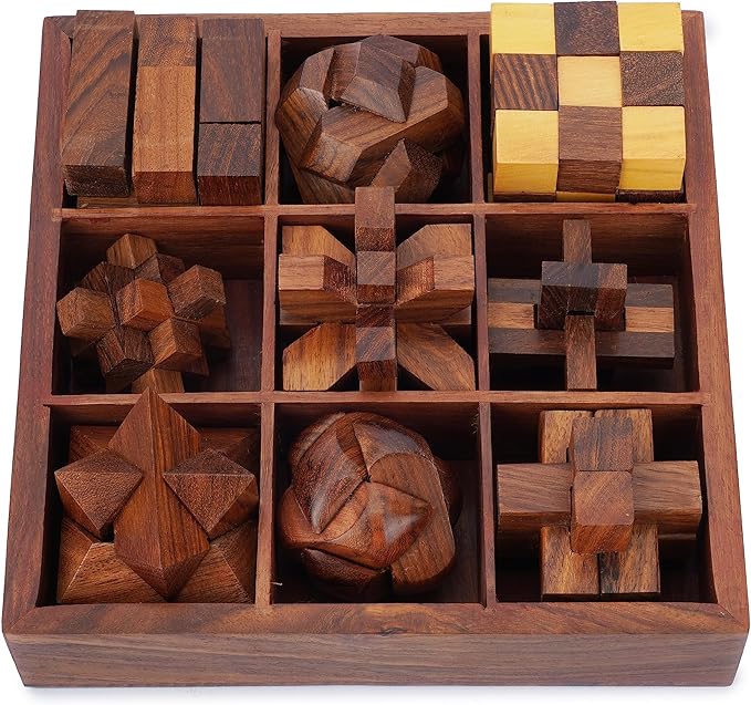 Ajuny 9-in-1 Wooden Puzzle Game Set 3D Brain Teasers Puzzles IQ Logic for Teens and Adults Handmade Interlocking Kongming Lock Game with Decorative Storage Box Unique Gift for Christmas and Birthdays