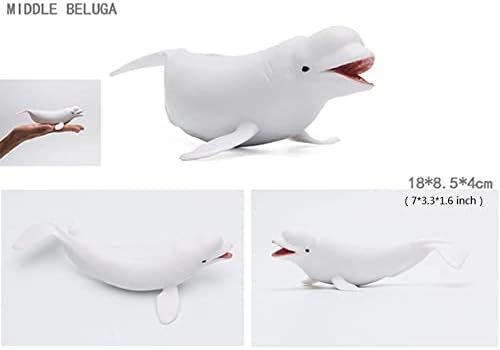 Solid Sea Animals Educational Toys,Simulation Ocean Shark Sea Creature Toy for Toddlers Kids (Middle Beluga)