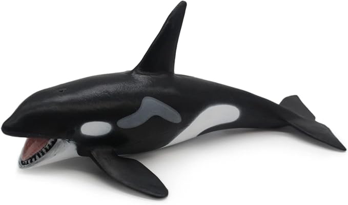 Solid Sea Animals Educational Toys,Simulation Ocean Shark Sea Creature Toy for Toddlers Kids (Killer Whale)