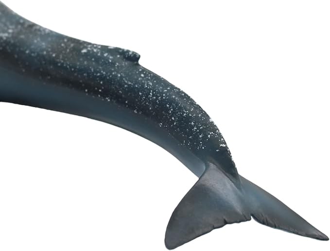 Solid Sea Animals Educational Toys,Simulation Ocean Shark Sea Creature Toy for Toddlers Kids (Blue Whale)