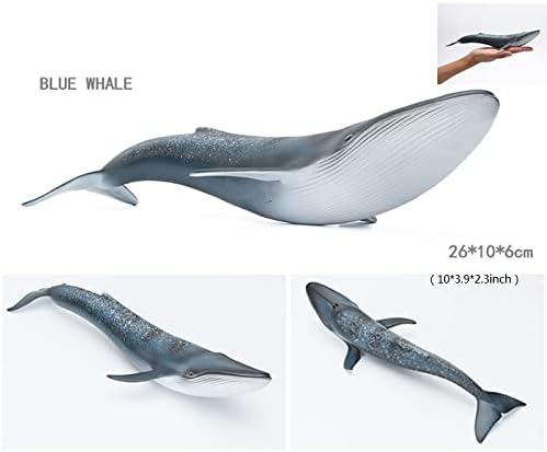 Solid Sea Animals Educational Toys,Simulation Ocean Shark Sea Creature Toy for Toddlers Kids (Blue Whale)