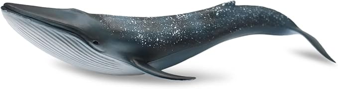 Solid Sea Animals Educational Toys,Simulation Ocean Shark Sea Creature Toy for Toddlers Kids (Blue Whale)