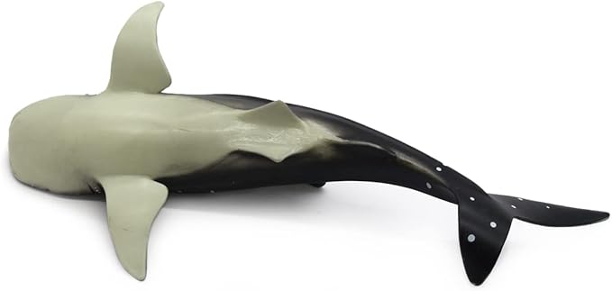 Solid Sea Animals Educational Toys,Simulation Ocean Shark Sea Creature Toy for Toddlers Kids (Whale Shark)