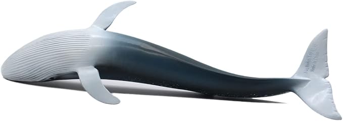 Solid Sea Animals Educational Toys,Simulation Ocean Shark Sea Creature Toy for Toddlers Kids (Blue Whale)