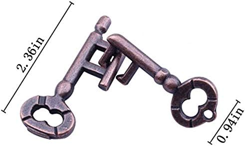 Brain Teaser Puzzle for Adults Puzzles Metal Hole Lock Adult Educational Toy Jigsaw IQ Puzzle (Ferrous)