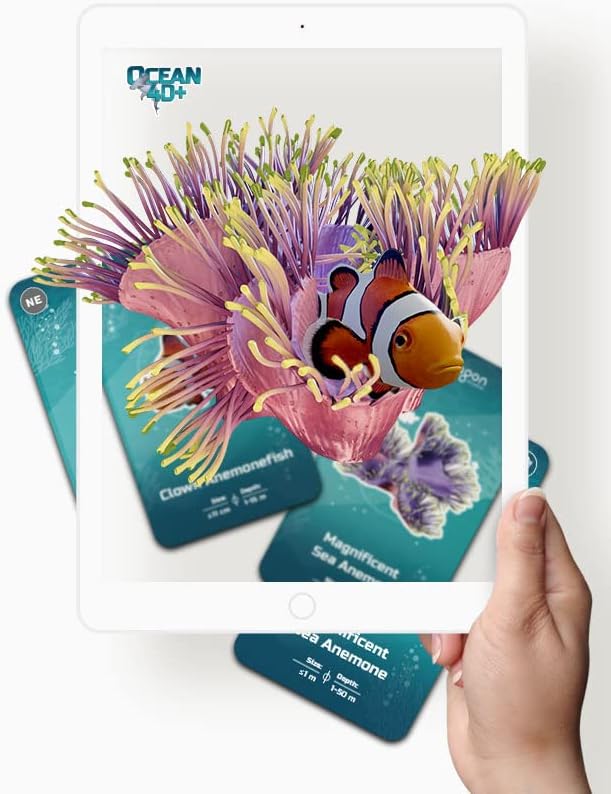 4D+ Augmented Reality Flashcards for Kids – Educational STEM Cards with Free App – Interactive Learning for Ages 4+ (Ocean 4D+)