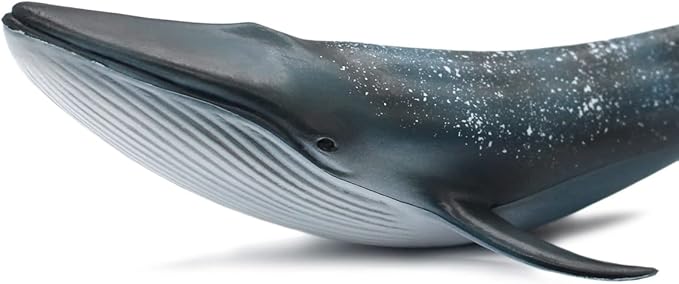 Solid Sea Animals Educational Toys,Simulation Ocean Shark Sea Creature Toy for Toddlers Kids (Blue Whale)