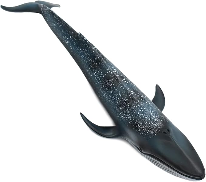 Solid Sea Animals Educational Toys,Simulation Ocean Shark Sea Creature Toy for Toddlers Kids (Blue Whale)