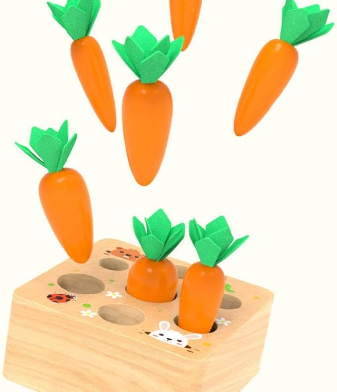 Ancaixin Montessori Toys for Babies 6-12 Months, Wooden Toys for 1 Year Old Boys and Girls, Educational Carrot Harvest Toy for Toddlers, Shape Sorting Matching Puzzle, Developmental Birthday Gifts