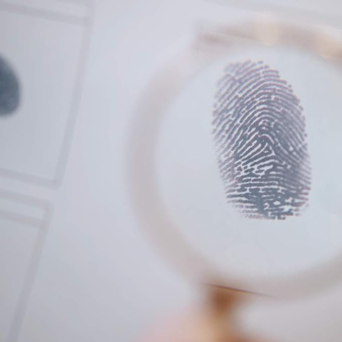 Hidden Games Murder Mystery Game – Solve a Crime at a Folk Festival – Cold Case Detective Investigation with 30+ Clues – Board Game for Teens, Adults, Couples & Groups - The New Heaven