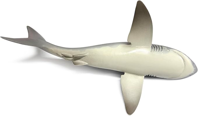 Solid Sea Animals Educational Toys,Simulation Ocean Shark Sea Creature Toy for Toddlers Kids (Great White Shark)