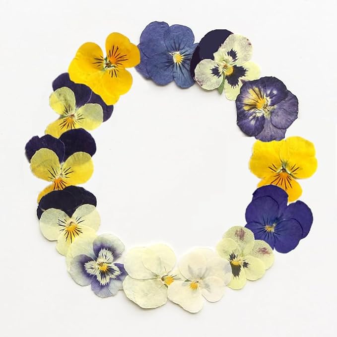48 Pcs Mixed Pansy Dried Pressed Flowers for Crafts,Real Nature Dry Flower Bulk for Resin Jewelry Making Candle Making Frame Decoration Art Floral Decors