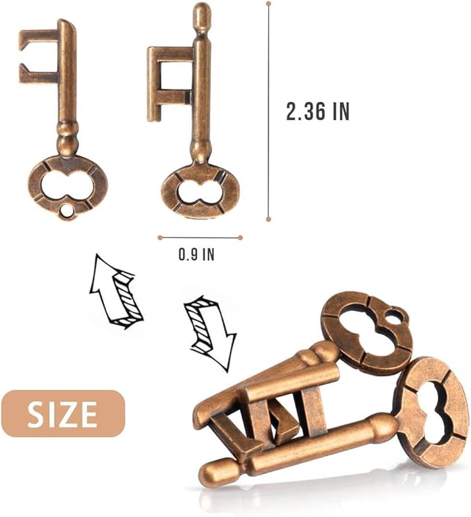Fun Metal Brain Teaser Puzzle Games - 4 Pcs Adults Mind Travel 3D Toys -Teens IQ Insight Challenge - Logic Educational Gift（with Storage Case and Instructions）