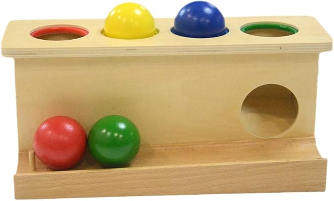 Montessori Toddlers Wooden Push Ball Toys Baby Preschoolers Toys Push Toys