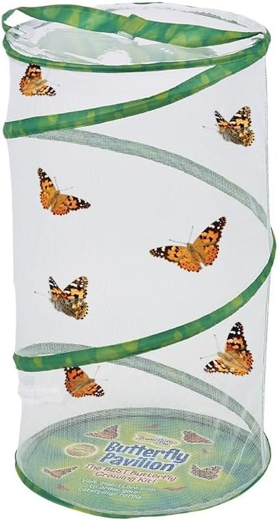 Insect Lore Butterfly Garden - Pavilion School Kit with 33 Live Caterpillars - 2ft Tall Habitat, STEM Activity Journal, Cups & Tools Included - Immersive Classroom Life Cycle Learning