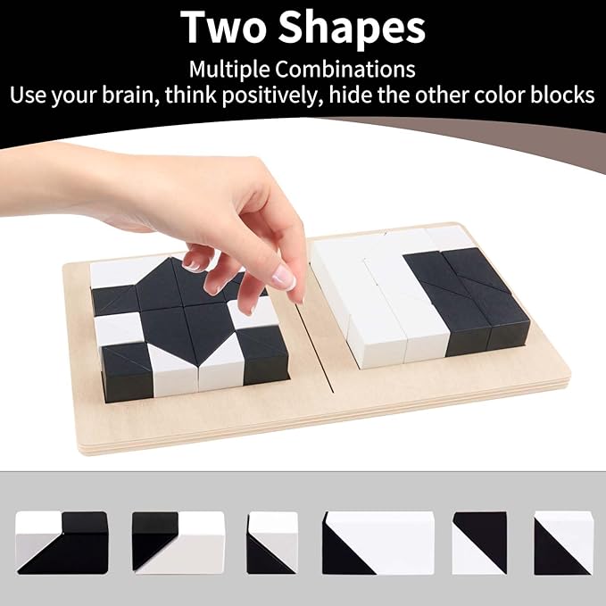 Brain Teaser Puzzles, Block Puzzle, Battle Blocks Game, 40 Challenge, Teens, IQ Test Mind Puzzle Toys, Birthday Gifts for Boys Girls, Best Gifts for Kids 3+