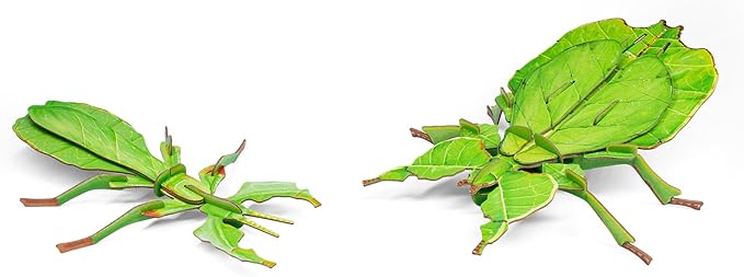 STEM 3D Paper Puzzles Fidget Toys and Sensory Toys for Kids and Toddlers - Autism and ADHD Educational Birthday Puzzles (Phyllium)